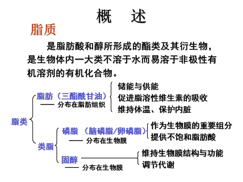 生物化学第五章.ppt_第2页