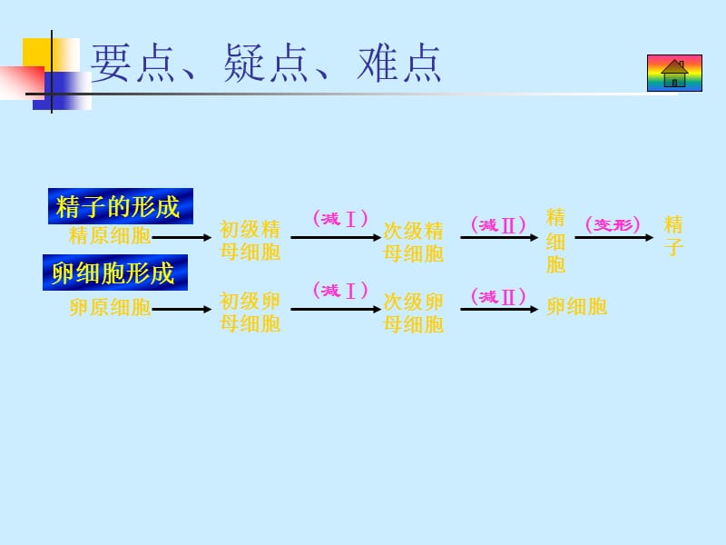 生物2.1减数分裂和受精作用.ppt_第3页