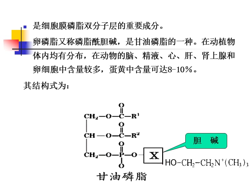 实验九_卵磷脂的提取和鉴定.ppt_第3页