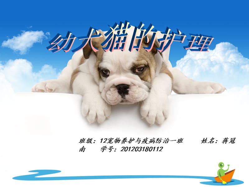 幼犬,猫护理 蒋冠南.ppt_第1页