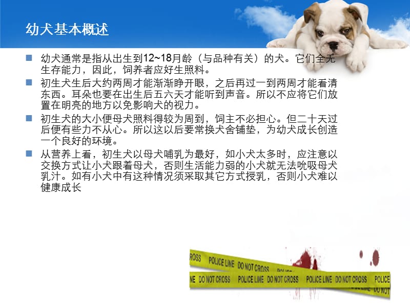 幼犬,猫护理 蒋冠南.ppt_第3页