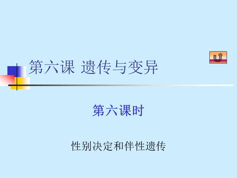 生物6.6性别决定和伴性遗传.ppt_第1页