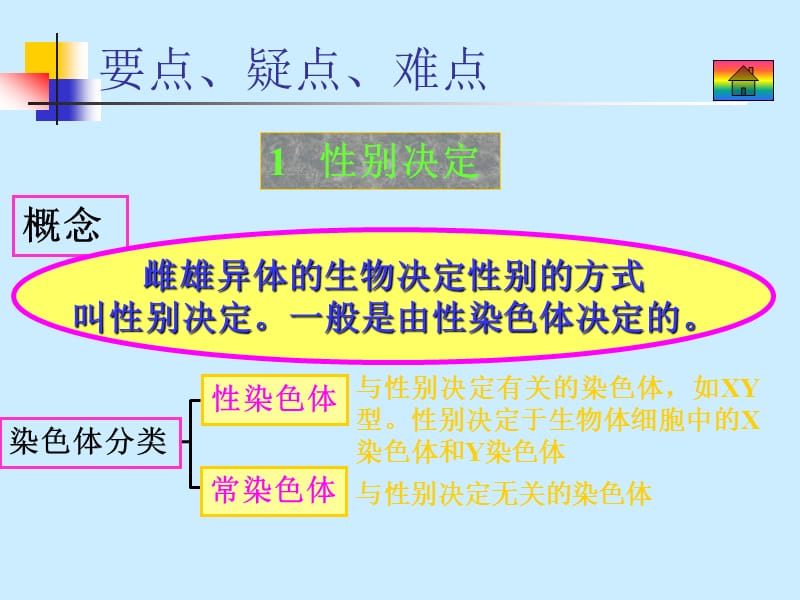 生物6.6性别决定和伴性遗传.ppt_第2页