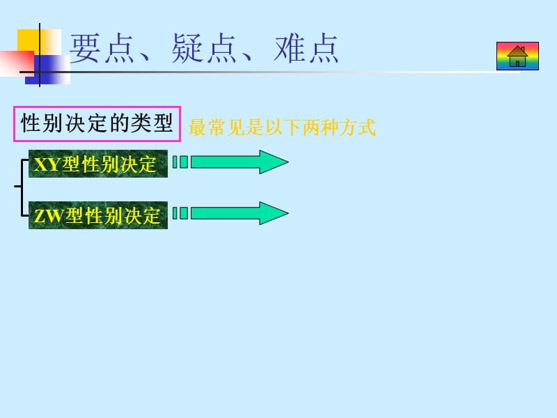 生物6.6性别决定和伴性遗传.ppt_第3页