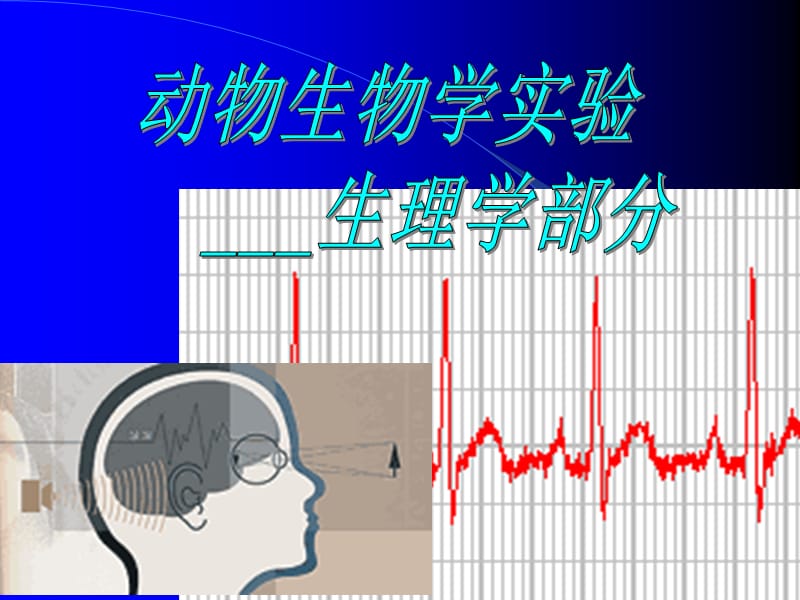 实验10_期前收缩与代偿间歇.ppt_第1页