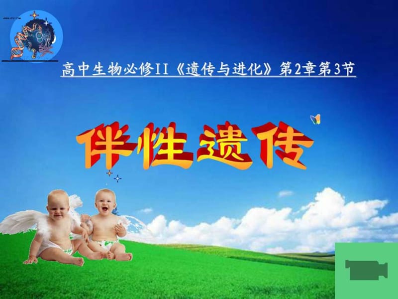 高中生物必修2伴性遗传.ppt_第1页