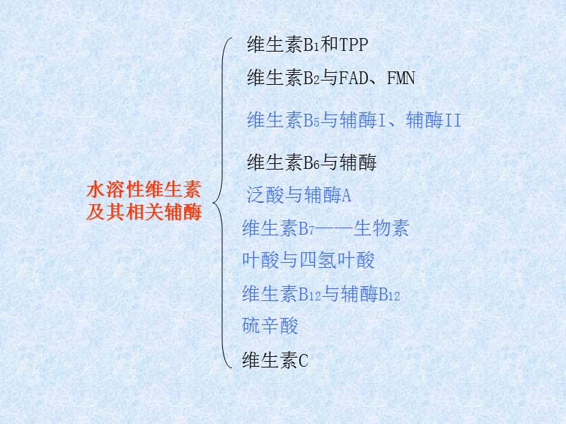 水溶性维生素与辅酶.ppt_第2页