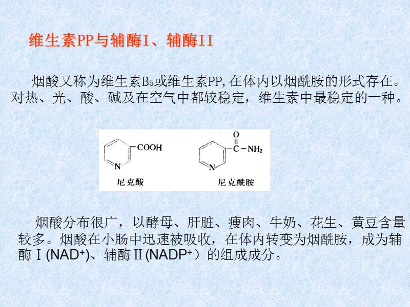 水溶性维生素与辅酶.ppt_第3页