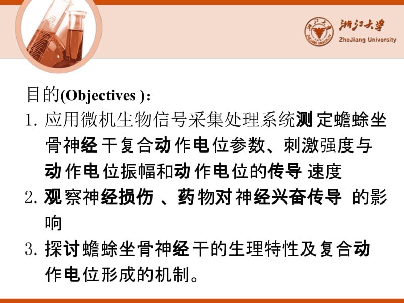 坐骨神经干.ppt_第2页