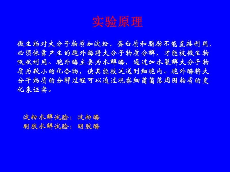 实验十 大分子物质的水解试验.ppt_第3页