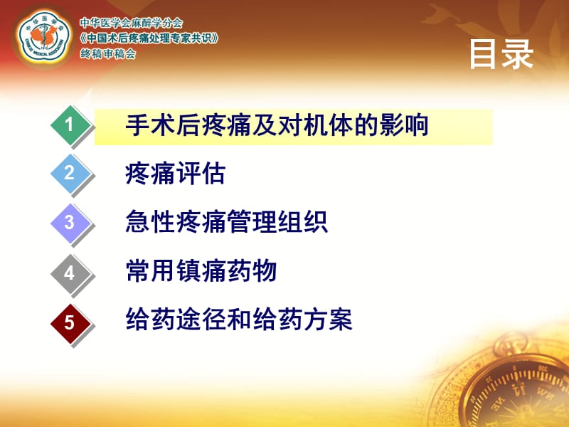 术后疼痛指南.ppt_第3页