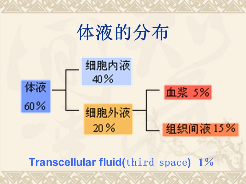 水钠代谢障碍.ppt_第3页