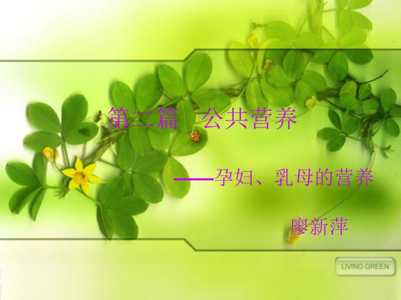 孕产妇营养.ppt_第1页