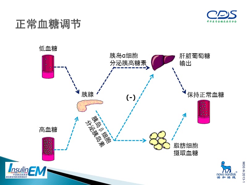 中国糖尿病患者胰岛素使用教育管理规范.ppt_第3页