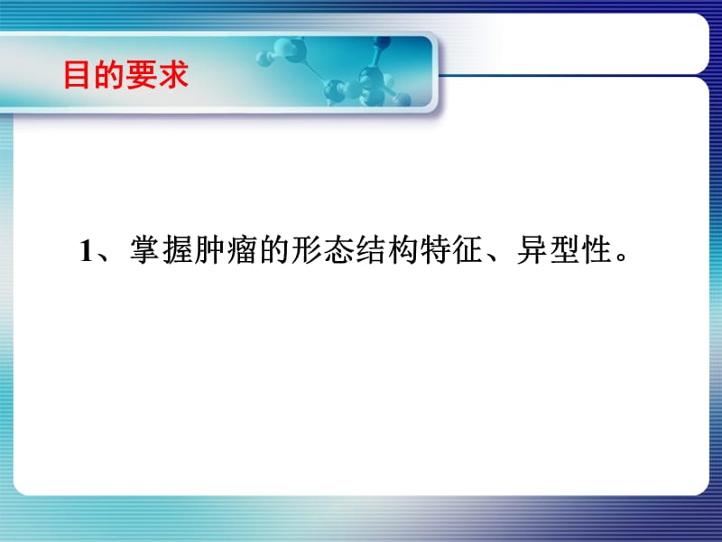 实习07 肿瘤的形态结构、异型性.ppt_第2页