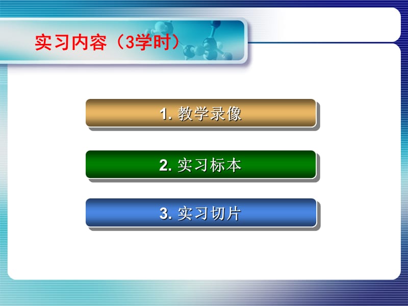 实习07 肿瘤的形态结构、异型性.ppt_第3页