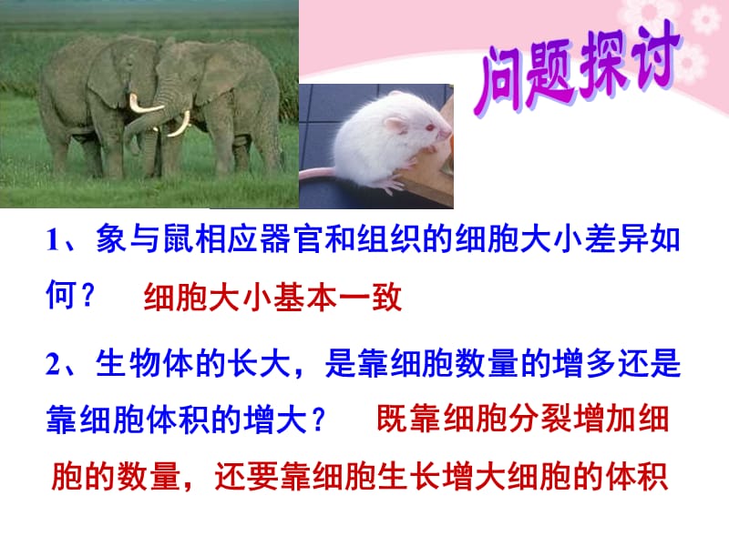 生物：细胞的增殖汇报课.ppt_第2页