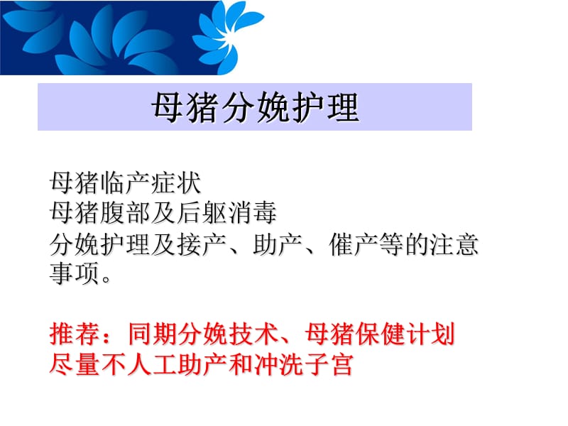 仔猪的饲养管理技术.ppt_第3页