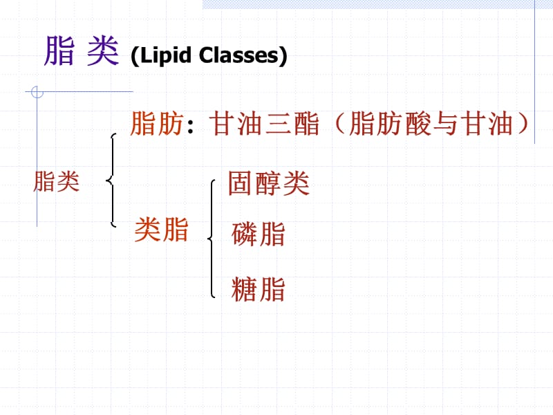 生物化学——第六章 糖代谢60 (2).ppt_第3页