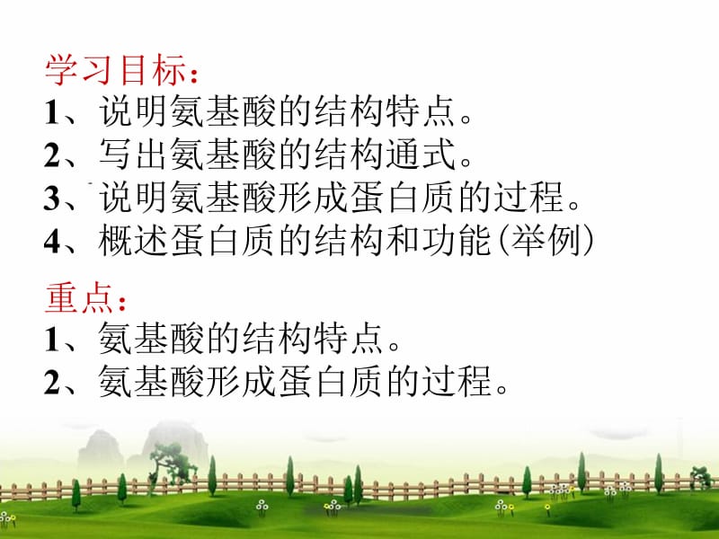 生物：2.2《细胞中的生物大分子》课件(苏教版必修1)(1).ppt_第2页