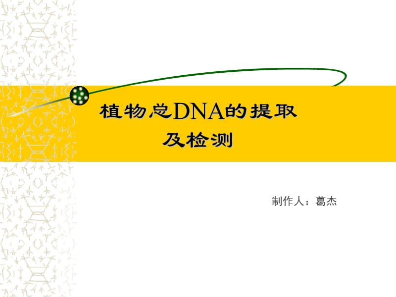 实验一_植物DNA提取及检测.ppt_第1页