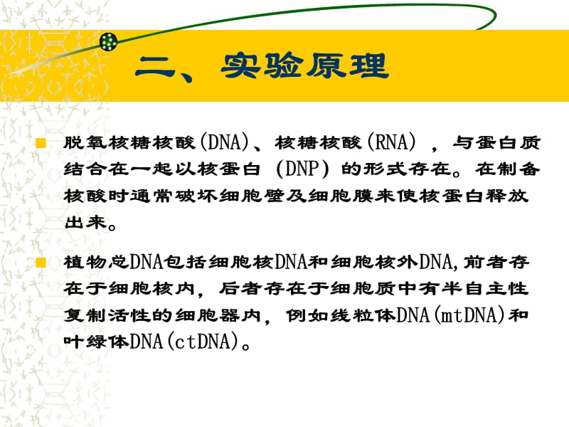 实验一_植物DNA提取及检测.ppt_第3页