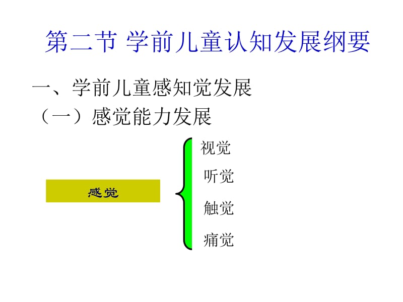 学前儿童感觉能力的发展.ppt_第1页