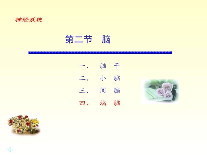 chapter17-4端脑_图文.ppt.ppt_第1页