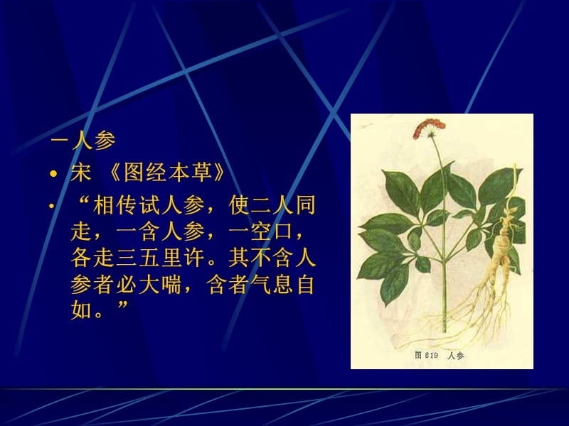 中药补气药.ppt_第2页