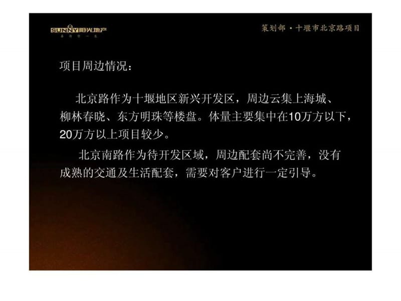 新项目案名提案.ppt.ppt_第2页