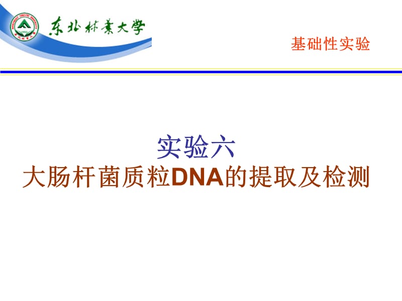 实验六、大肠杆菌质粒DNA的提取与电泳检测.ppt_第1页