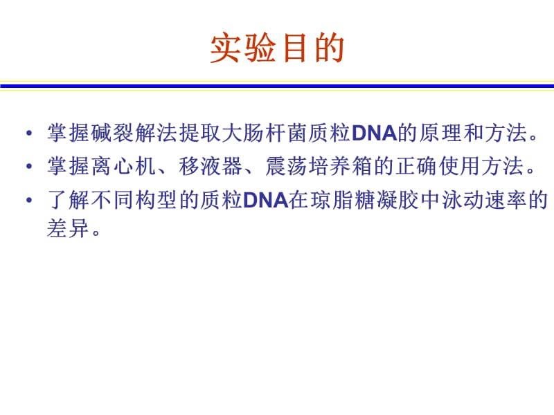 实验六、大肠杆菌质粒DNA的提取与电泳检测.ppt_第2页