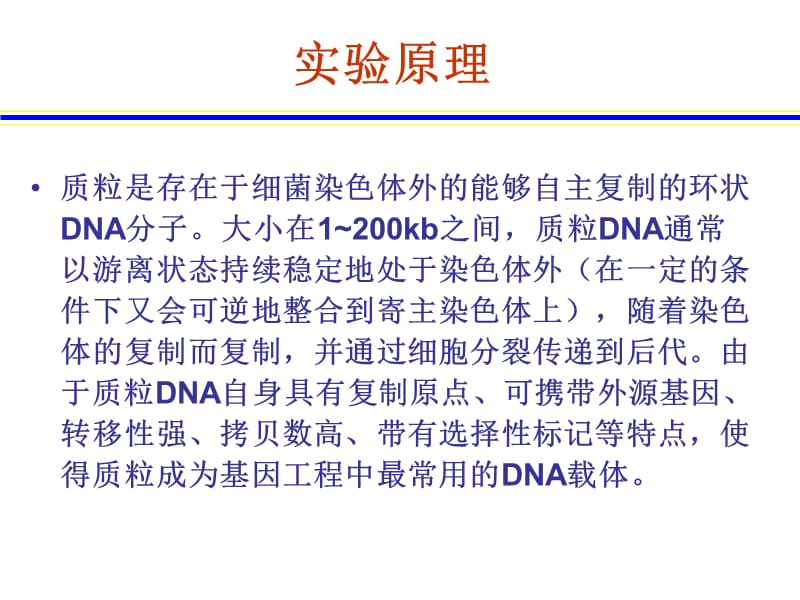 实验六、大肠杆菌质粒DNA的提取与电泳检测.ppt_第3页