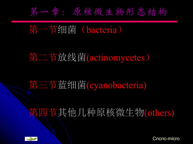 原核微生物的形态结构.ppt_第1页