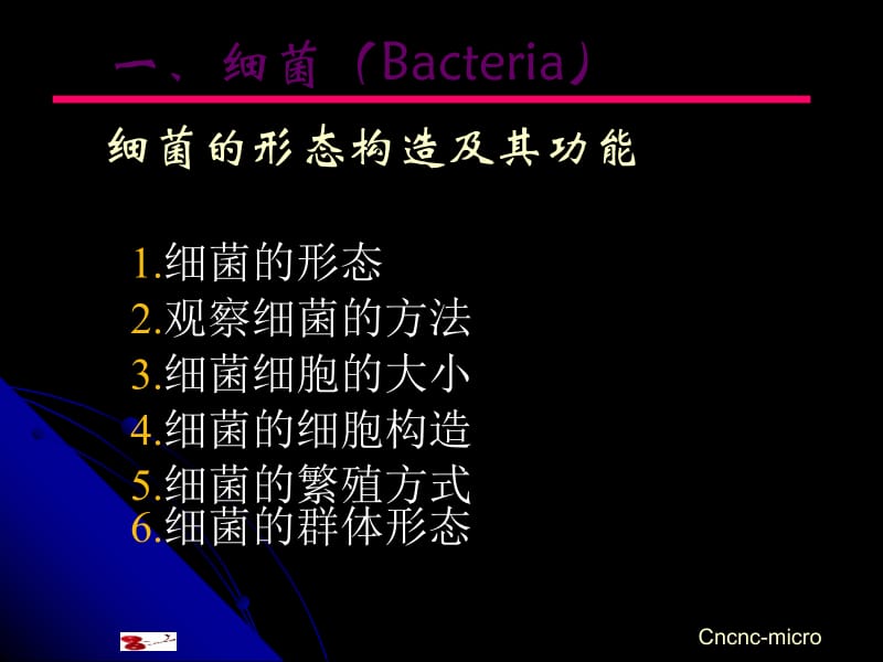 原核微生物的形态结构.ppt_第2页