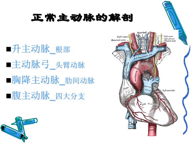 主动脉疾病的治疗进展与挑战刘永民.ppt_第2页