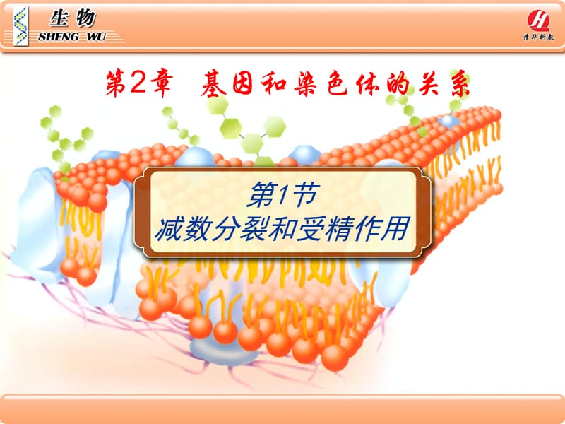 生物②必修2.1《减数分裂和受精作用》PPT课件.ppt_第1页