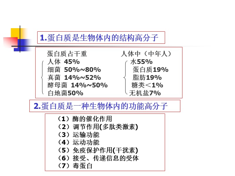 生化2蛋白质化学.ppt_第3页