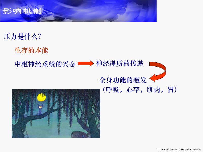 压力管理与情绪舒缓.ppt_第3页