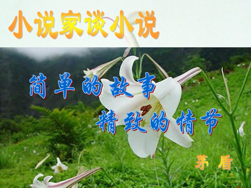 小说家谈小说.ppt_第1页