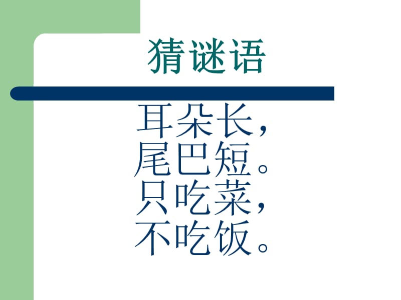 我们的动物朋友ppt.ppt_第2页