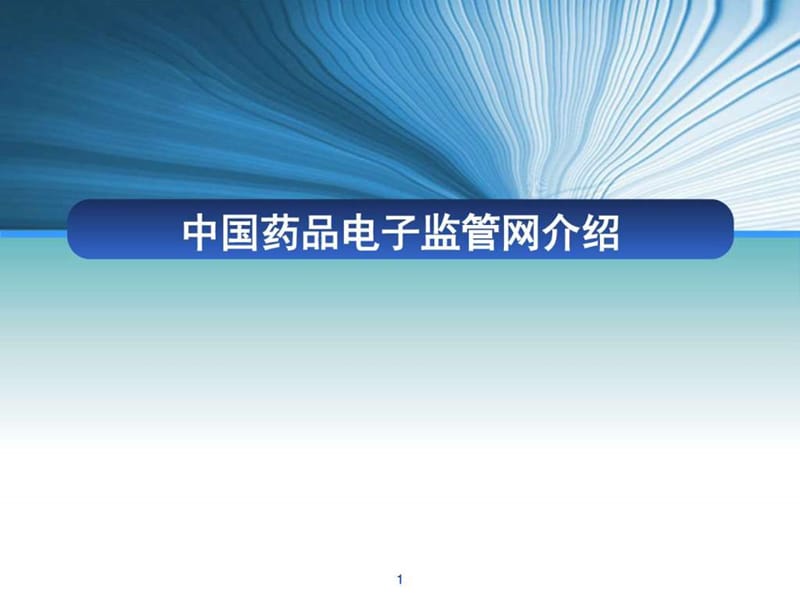 1中国药品电子监管网介绍_药学_医药卫生_专业资料.ppt.ppt_第1页