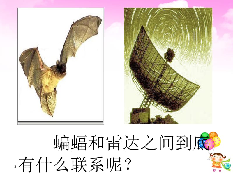 小学语文课件：11.蝙蝠和雷达 (3).ppt_第3页