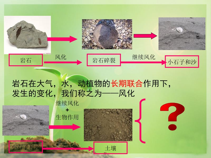 教科版小学科学五年级上册_土壤中有什么.ppt_第1页