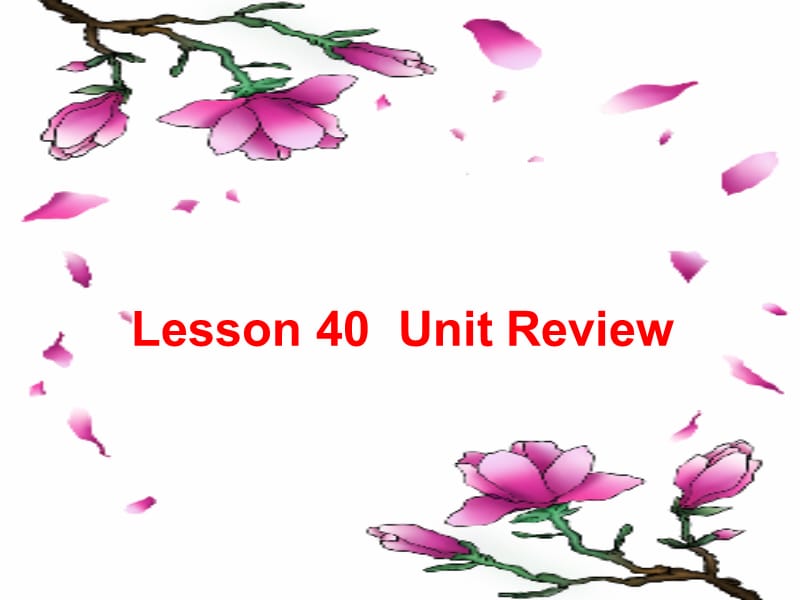 【英语课件】Lesson 40 Unit Review.ppt_第1页