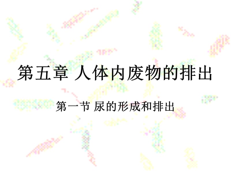 尿的形成和排出1.ppt_第1页