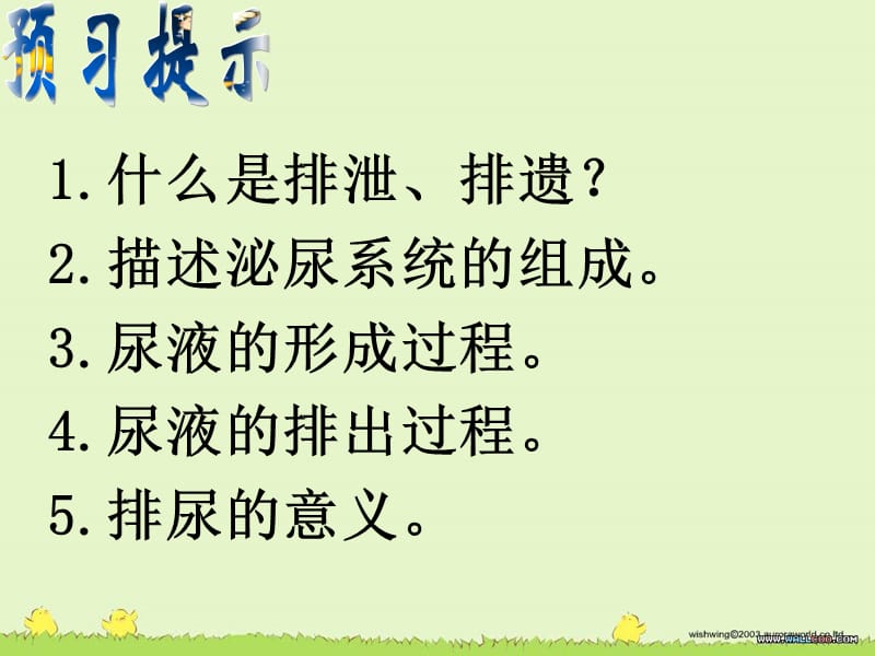 尿的形成和排出1.ppt_第2页