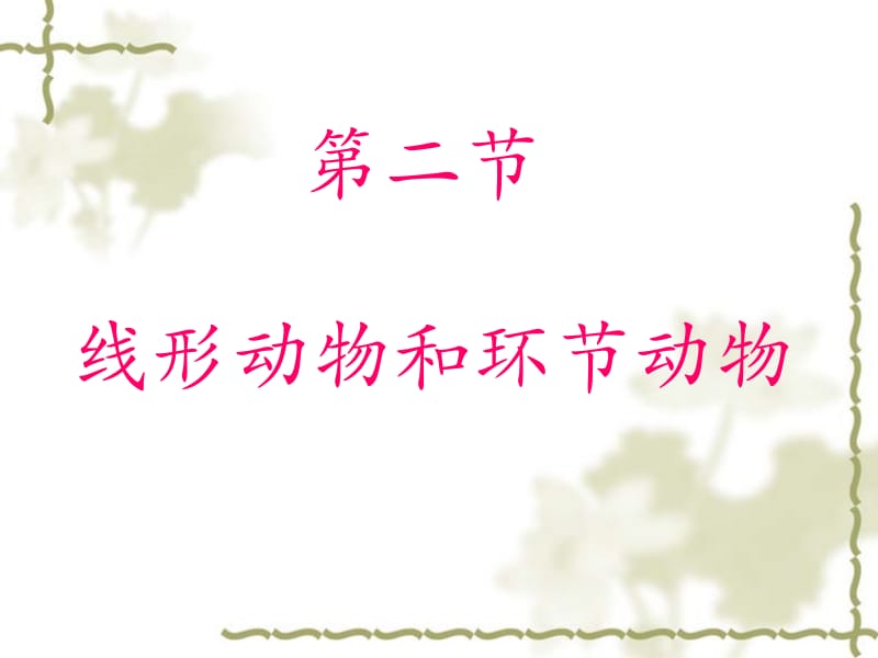 第二节线形动物和环节动物上课.ppt_第2页