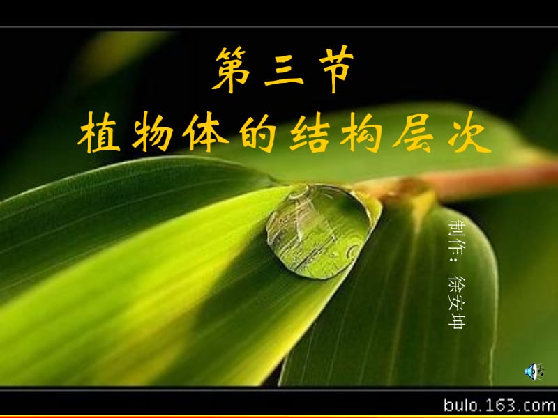 植物体的结构层次ppt.ppt_第1页