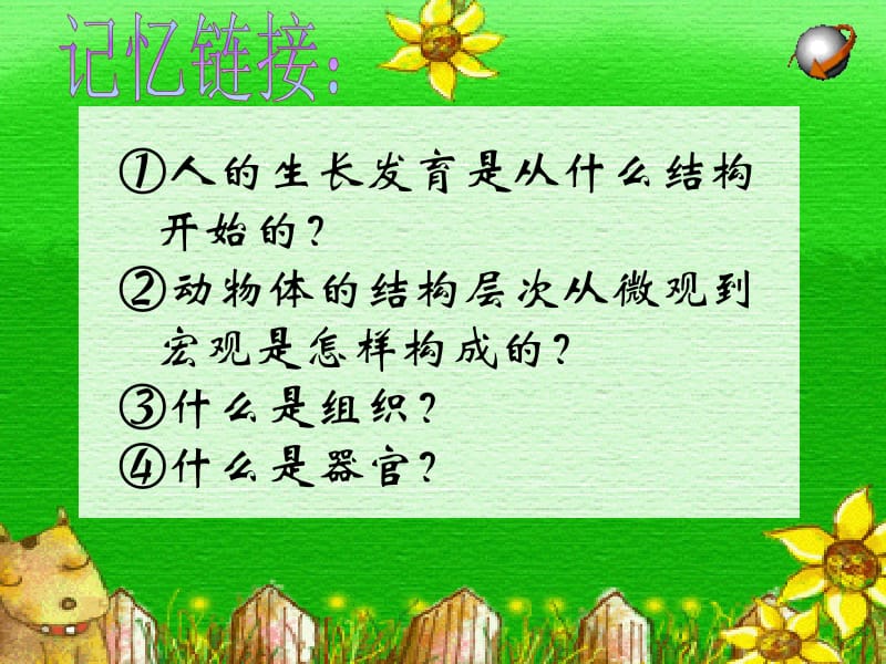 植物体的结构层次ppt.ppt_第2页